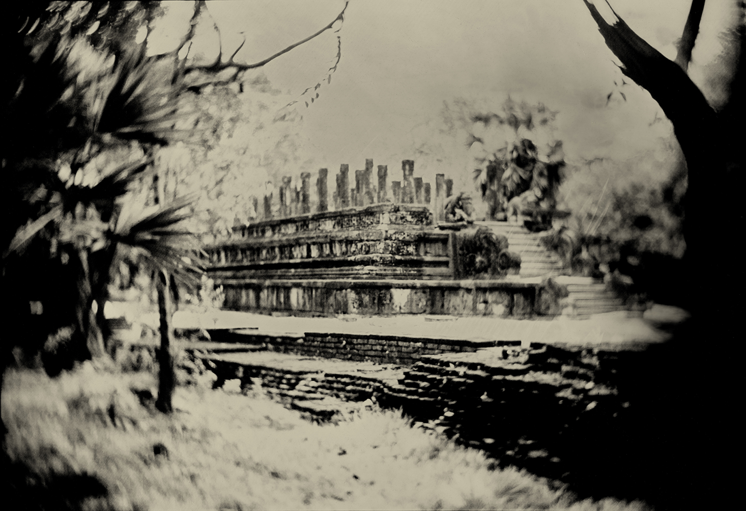 7º 57' 6.088" N 81º 0' 26.294" E